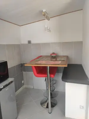 Cuisine ou kitchenette dans l'établissement Petit gite paisible en bord de lac