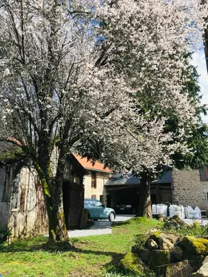 Jardin de l'établissement Lavande