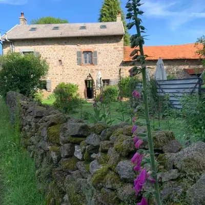 Lavande