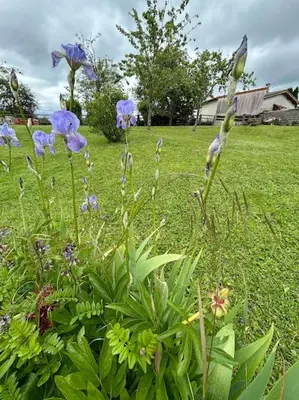 Jardin de l'établissement Maison le Ragean