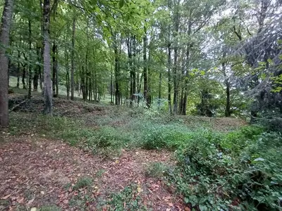 Paysage naturel près de la maison de vacances