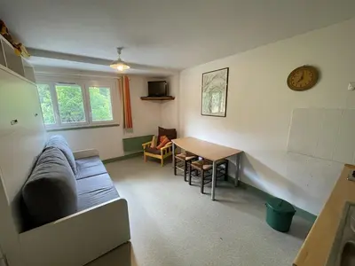 Coin salon dans l'établissement Studio cosy à Laveissière près des pistes, 2 lits superposés et lit rabattable, parfait pour l'hiver - FR-1-787-8