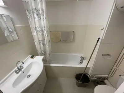 Salle de bains dans l'établissement Studio cosy à Laveissière près des pistes, 2 lits superposés et lit rabattable, parfait pour l'hiver - FR-1-787-8