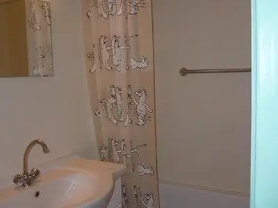 Salle de bains dans l'établissement Studio cosy à Laveissière près des pistes, 2 lits superposés et lit rabattable, parfait pour l'hiver - FR-1-787-8