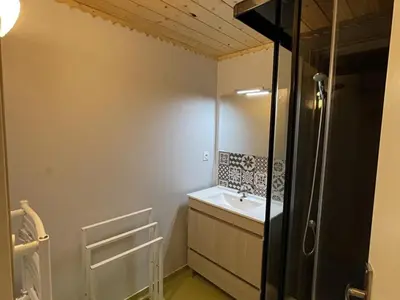 Salle de bains dans l'établissement Beau duplex 6 pers. à 200m des pistes, parking gratuit - FR-1-787-11