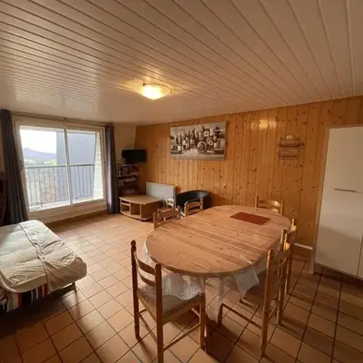 Appartement 2 chambres proche pistes avec balcon et parking gratuit - FR-1-787-14