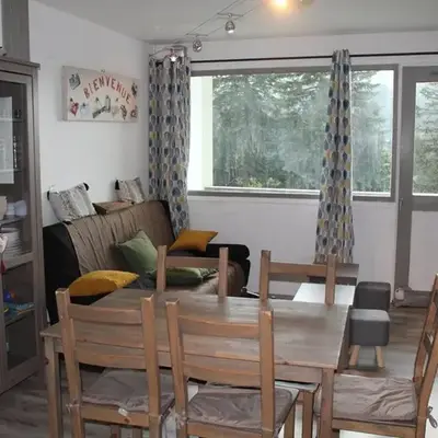 Bel appartement rénové T2 avec balcon au pied des pistes - FR-1-787-10
