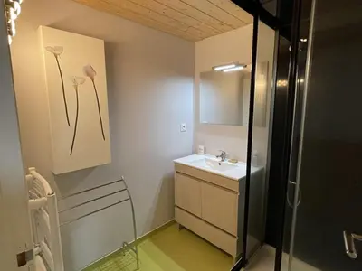 Salle de bains dans l'établissement Bel appartement duplex proche des pistes avec balcon et parking - FR-1-787-16