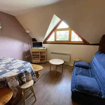 Charmant T2 cabine au pied des pistes - 4 pers - FR-1-787-32