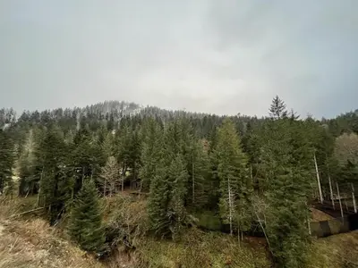 Paysage naturel près de l'appartement
