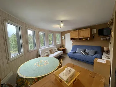 Coin salon dans l'établissement T2 cosy au cœur de Laveissière - Près des pistes, commerces et patinoire - FR-1-787-37