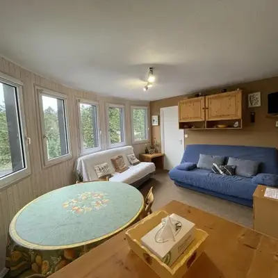 T2 cosy au cœur de Laveissière - Près des pistes