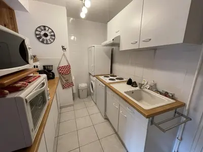 Cuisine ou kitchenette dans l'établissement Studio rénové au Lioran avec animaux acceptés - FR-1-787-22