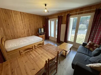 Télévision ou salle de divertissement dans l'établissement Studio rénové au Lioran avec animaux acceptés - FR-1-787-22