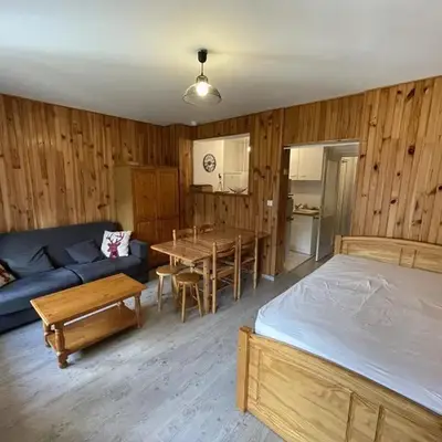 Studio rénové au Lioran avec animaux acceptés - FR-1-787-22