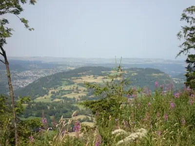 Paysage naturel près de l'appartement