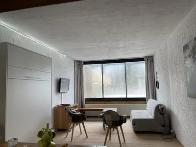Coin salon dans l'établissement Studio spacieux 40m², pieds des pistes, wifi, équipements bébé, animaux admis, Laveissière - FR-1-787-58
