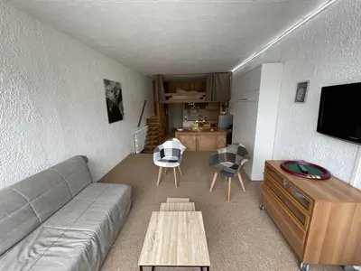 Télévision ou salle de divertissement dans l'établissement Studio spacieux 40m², pieds des pistes, wifi, équipements bébé, animaux admis, Laveissière - FR-1-787-58