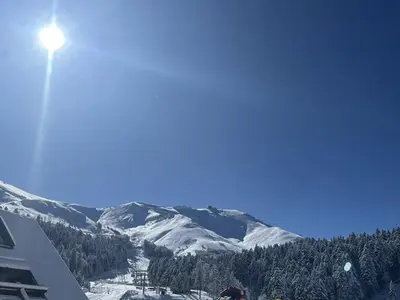 Plan de l'établissement Studio rénové au pied des pistes, idéal pour 4 pers, avec WiFi, animaux acceptés, casier à skis inclus - FR-1-787-54