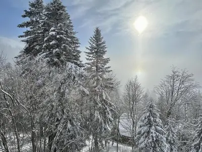 L'établissement Studio 35m² pour 5 pers. avec balcon, centre station, proche commerces et pistes, animaux acceptés. - FR-1-787-61 en hiver