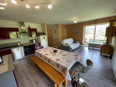 Cuisine ou kitchenette dans l'établissement **Appartement T3 avec Terrasse, Parking et Proche Pistes** - FR-1-787-48