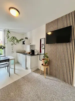 Télévision ou salle de divertissement dans l'établissement Studio 2 Rue Théodore Bac - DABNB
