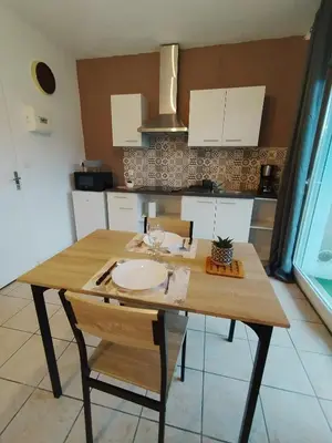 Cuisine ou kitchenette dans l'établissement grand studio