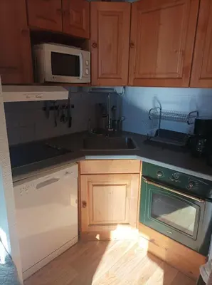 Cuisine ou kitchenette dans l'établissement Appartement dans Résidence Bois de la Reine, Besse et Saint Anastaise