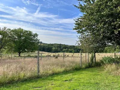 Paysage naturel près de la maison de vacances