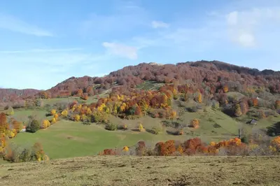 Paysage naturel près de l'appartement