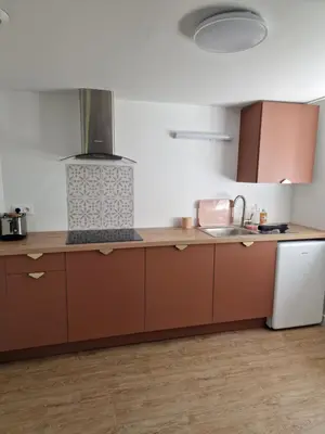 Cuisine ou kitchenette dans l'établissement Château de Sérignac