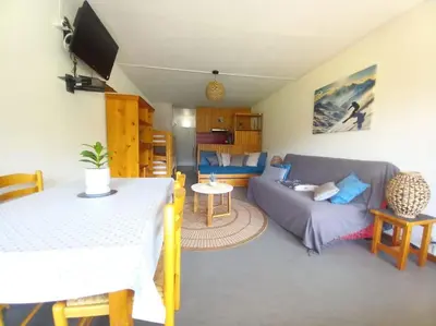 Télévision ou salle de divertissement dans l'établissement Charmant Studio Le Lioran - Tour Sumène