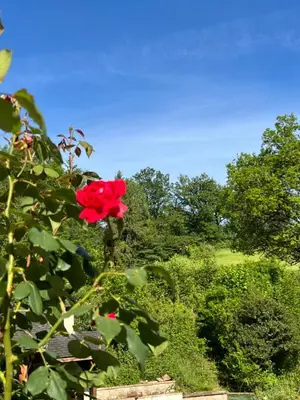 Jardin de l'établissement Au calme