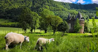 Paysage naturel près de le B&B/chambre d'hôtes