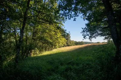Paysage naturel près de la villa