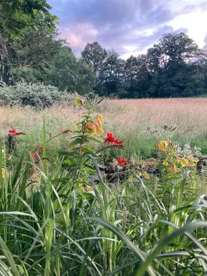 Jardin de l'établissement Chateau Gioux