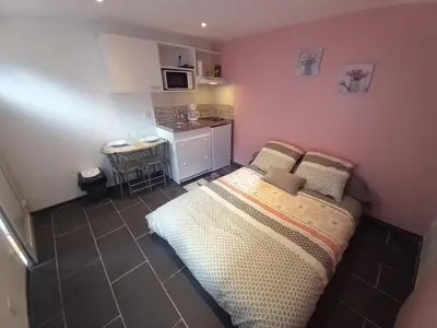 Cuisine ou kitchenette dans l'établissement studio 8