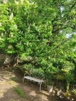 Jardin de l'établissement Chambre de charme