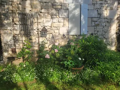 Jardin de l'établissement Chambre de charme