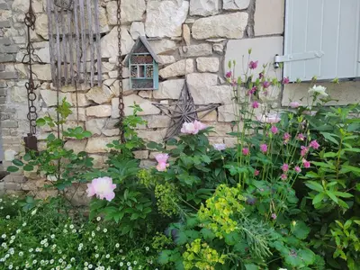 Jardin de l'établissement Chambre de charme