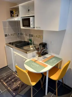 Cuisine ou kitchenette dans l'établissement Residence de l'évèché 9