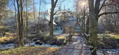 Jardin de l'établissement Gîte nature La clairière