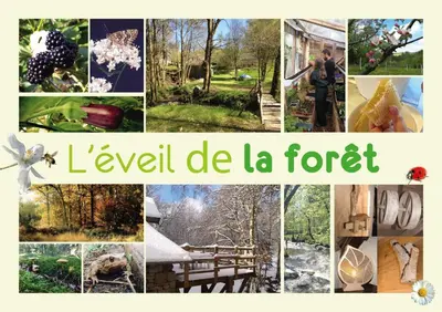 Plan de l'établissement Gîte nature La clairière