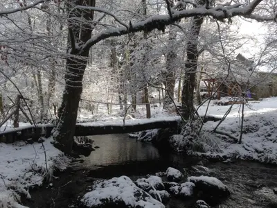 L'établissement Gîte nature La clairière en hiver