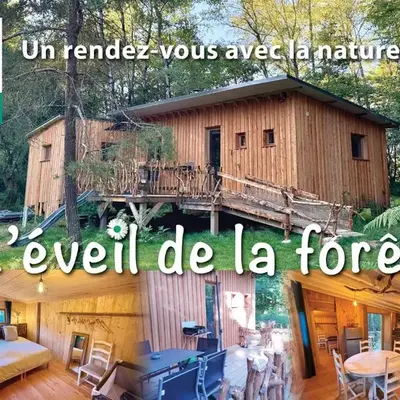 Gîte nature La clairière