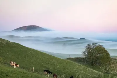 Paysage naturel près de la maison de vacances