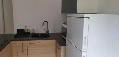 Cuisine ou kitchenette dans l'établissement Résidence Les Sources centre-ville F3