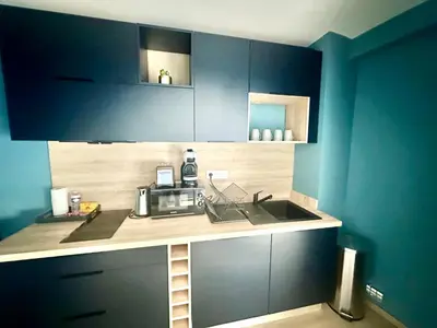 Cuisine ou kitchenette dans l'établissement Le Palmier Doré, central et élégant