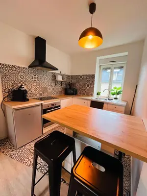 Cuisine ou kitchenette dans l'établissement Jolis logements brivistes 3