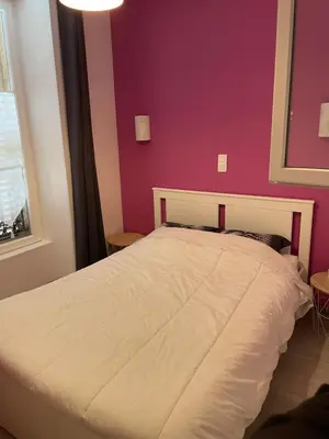Un ou plusieurs lits dans un hébergement de l'établissement Charmant appartement centre ville proche thermes
